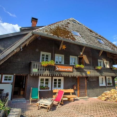 Wohlfuehl-Ferienwohnung 80 Qm, 8 Personen, Aussicht & Heimkino Todtnau Dış mekan fotoğraf