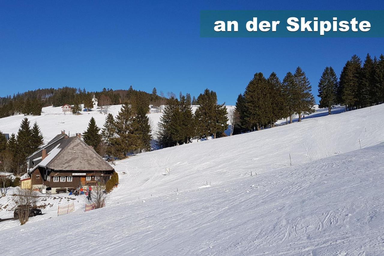 Wohlfuehl-Ferienwohnung 80 Qm, 8 Personen, Aussicht & Heimkino Todtnau Dış mekan fotoğraf