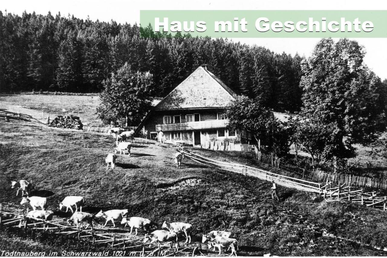 Wohlfuehl-Ferienwohnung 80 Qm, 8 Personen, Aussicht & Heimkino Todtnau Dış mekan fotoğraf