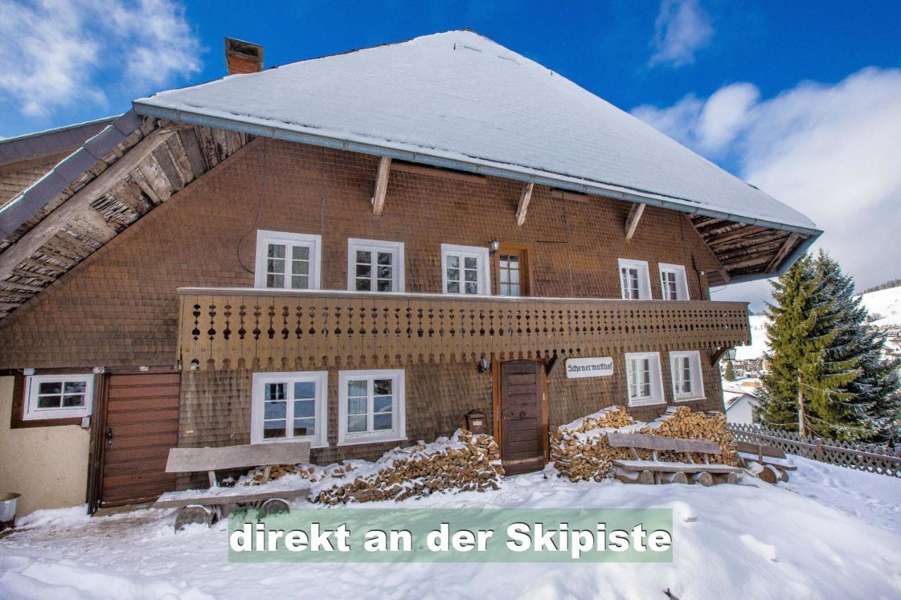 Wohlfuehl-Ferienwohnung 80 Qm, 8 Personen, Aussicht & Heimkino Todtnau Dış mekan fotoğraf