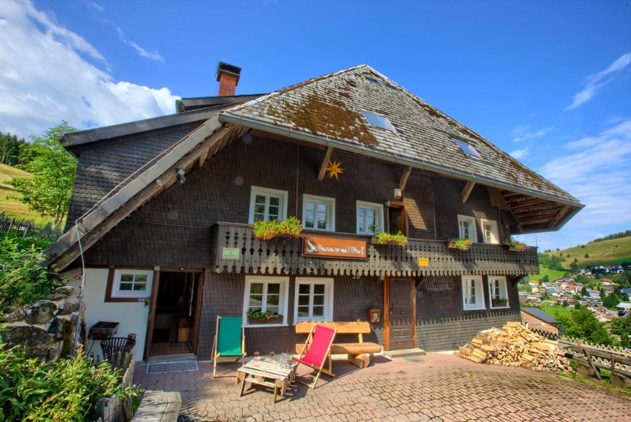 Wohlfuehl-Ferienwohnung 80 Qm, 8 Personen, Aussicht & Heimkino Todtnau Dış mekan fotoğraf